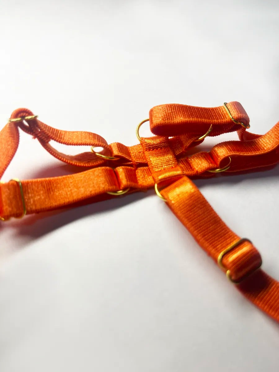 Dessous Limitiert Halloween Set